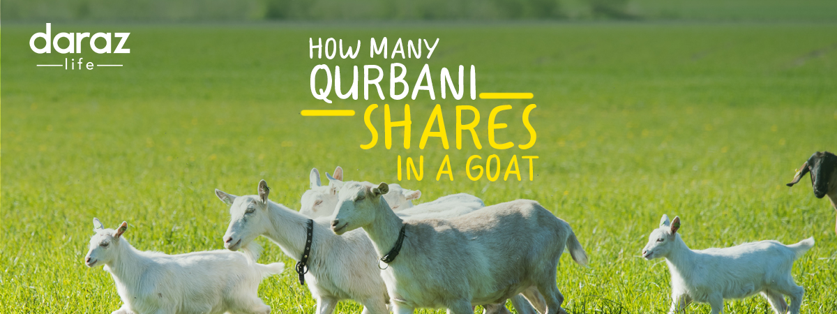 Shares in Qurbani for Goat