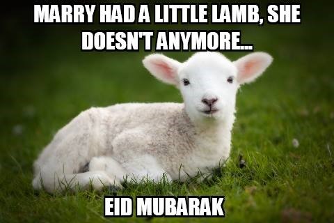  Reasons why the Meaty Eid is the BETTER Eid