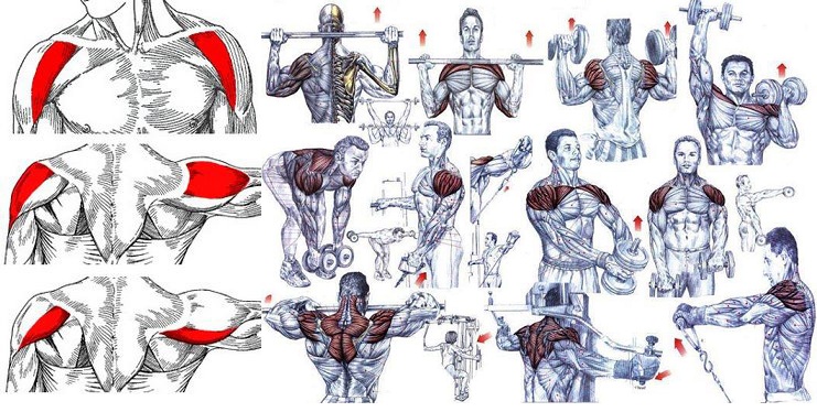 Big shoulder online workout