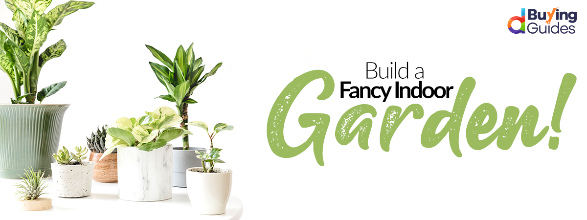 5 Ideas For Building a Fancy Indoor Garden Space!