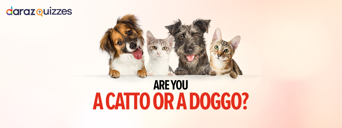 Find Out if You Are a Catto or a Doggo By Playing This Quiz
