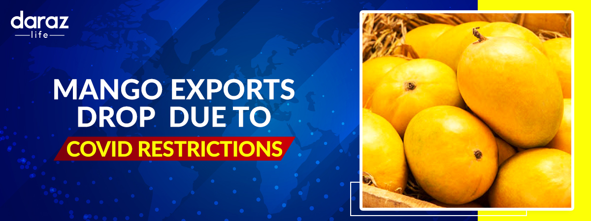  Mango Exports in Pakistan Face a Huge Decline