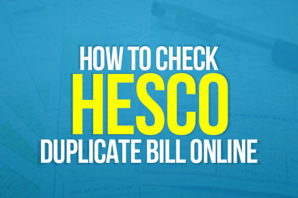 Check HESCO Duplicate Bill