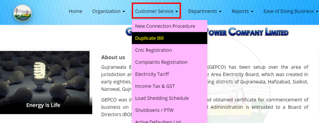 GEPCO Duplicate Bill Check