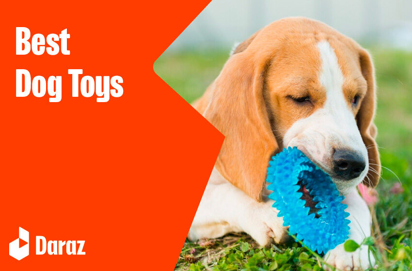  10 Best Dog Toys Available in Pakistan 2023