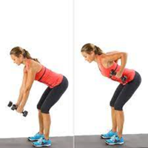 5. Dumbbell rows