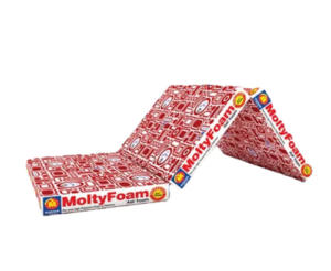 MoltyFoam Fold-A-Bed Mattress