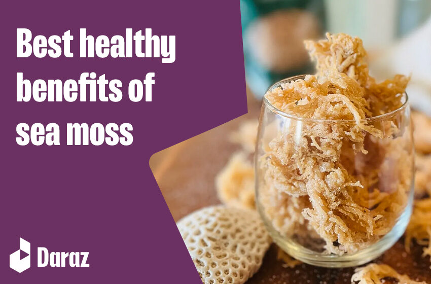  Top 10 Health Benefits of Sea Moss in Your Diet