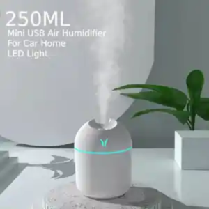 3. Humidifier