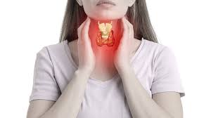 2. Thyroid Health