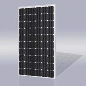 4. Risen Energy SYP310M 310-Watt Solar Panel Module