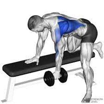 7. Dumbbell Rows